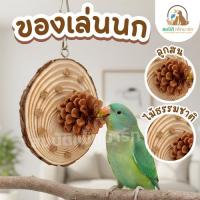ราคา ของเล่นนก ไม้แอปเปิ้ลแท้ ลูกสนธรรมชาติ แขวนกรง ช่วยลับจะงอยปาก ลดเครียด นกแก้ว นกหงส์หยก เลิฟเบิร์ด (54155961035)