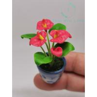 ราคา ดอกหน้าวัวจิ๋ว (Anthurium) ดอกไม้ดินปั้น หน้าวัว ดอกหน้าวัว #ของจิ๋ว #ดินปั้น (5853743078)
