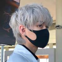ราคา วิกผมสีเทาผมสั้นสไตล์เกาหลีชายหล่อหมวกเงินแท้สีธรรมชาติของเด็กชายวิกผมสีเทา (27012175012)