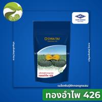 ราคา เมล็ดพันธุ์ ฟักทอง ลูกผสม ทองอำไพ 426 ลอตใหม่ 1000 เมล็ด (9568931603)