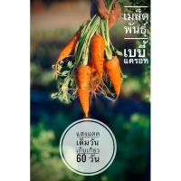 ราคา เมล็ดพันธุ์ เบบี้แครอท 100 เมล็ด (9250525901)