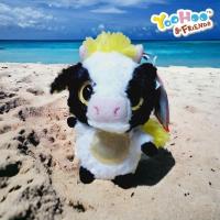 ราคา น่ารัก พร้อมส่งตุ๊กตา Yoohoo&Friends ขนาด6นิ้ว ป้ายห้อย+งานคู่งานแท้อัพเดต28-05 (27206571294)