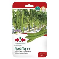 ราคา [พร้อมส่ง] HomeDoDee เมล็ดพันธุ์มะเขือยาวสีเขียว F1 ท็อปกัน เมล็ด เมล็ดพันธุ์ เมล็ดพันธุ์พืช (11840903882)