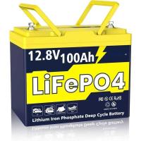ราคา LiFePO4 แบตเตอรี่ 12V 100Ah, กลุ่ม 24, เซลล์เกรด A+ พร้อม BMS อัจฉริยะ 100A ในตัว, แบตเตอรี่ลิเธียม (48901212317)