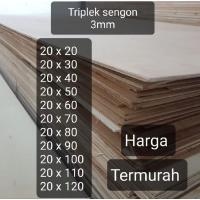 ราคา ไม้อัดเส็งออน 3MM ไม้อัดเรียบ 2 ด้าน (43578761791)