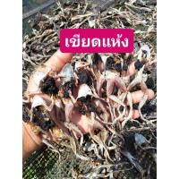ราคา เขียดตากแห้ง แพคละ 100 กรัม เขียดนา อาหารอีสาน รสชาติอร่อยไม่เค็มมาก เก็บไว้ได้นานถึง 1 ปี (7833531219)