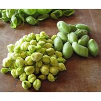 ราคา เมล็ด ถั่วลูกไก่ - Garbanzo Bean(Chickpea) (7494460789)