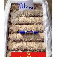ราคา หมึกผ่าA6/หมึกผ่าตัวเล็กเนื้อบางอร่อยขนาด500กรัม (15262230760)
