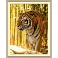 ราคา DIY ห้องนั่งเล่น 5D รอบลูกปัดเต็มรูปเสือนักษัตรจีนเสือสัตว์จุดเพชรภาพวาด,ลูกปัด (47258728624)