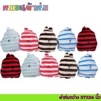 ราคา หมอนผ้าห่มขนาด(ผ้า37×56นิ้ว) ซุกมือได้ ผ้าห่มแยกชิ้นได้ (8187176676)