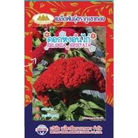 ราคา เมล็ดดอกหงอนไก่ CELOSIA CRISTATA MT/FW-02 ตราภูเขาทอง เมล็ดพันธุ์ดอกหงอนไก่ เมล็ดพันธุ์ดอกไม้ (19093468683)