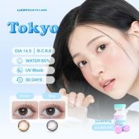 ราคา คอนแทคเลนส์ Tokyo Brown/ Gray (Shinee Lens) ขนาดกลาง (26169446139)