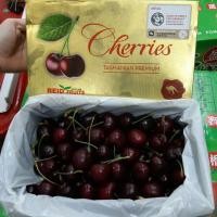 ราคา เชอรี่แดงสด ๆ ทัชมาเนีย นำเข้าจากประเทศออสเตรเลีย 1 Kg (เชอร์รี่แดงสด เชอร์รี่สดสีแดง) (9911727478)