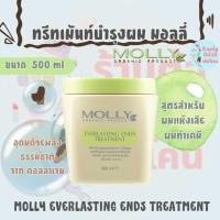 ราคา มอลลี่ ทรีทเม้นท์ บำรุงผม เอเวอร์ลาสติ้ง เอ็นด์ส Molly Everlasting treatment ขนาด 500ml (14786563435)