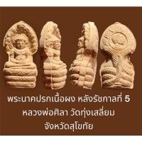 ราคา พระนาคปรกเนื้อผง หลังรัชกาลที่ 5 หลวงพ่อศิลา วัดทุ่งเสลี่ยม จังหวัดสุโขทัย (22905678395)