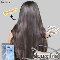 ราคา Berina A38+A21 เบอริน่า ครีมย้อมผม ยาย้อมผม สีผมชาโคล (19092479948)