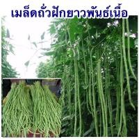 ราคา เมล็ดถั่วฝักยาวพันธ์เนื้อ (6397120656)