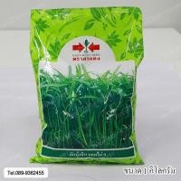 ราคา เมล็ดพันธุ์ผักบุ้งจีน ยอดไผ่9 1 กิโลกรัม (8237515170)
