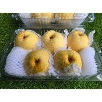 ราคา สาลี่น้ำผึ้ง ลูกแพร์ (Honey Pear) ตราดอกบัว แพ็ค 5 ลูก ผลไม้สด รสชาติหวาน เนื้อกรอบ อร่อย (45053888967)