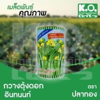 ราคา ผักกาดกวางตุ้ง กวางตุ้งดอกฮ่องกง อินทนนท์ (500 กรัม) ตราปลาทอง (18261692122)
