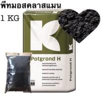 ราคา พีทมอส Peat moss ดินเพาะกล้า ดินมีเดีย วัสดุปลูกคุณภาพ (นำเข้าจากเยอรมัน) ขนาด 1 กก. (10592534241)