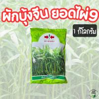 ราคา ผักบุ้งจีนยอดไผ่ 9 เมล็ดผักบุ้งยอดไผ่ 9 ตราศรแดง 1,000 กรัม อัตราการงอกดี (28387820843)