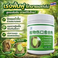 ราคา ✅ฟื้นตัวอย่างรวดเร็ว✅ยาทาแผลต้นไม้ ป้องกันเชื้อรา ขนาด 200 กรัม ยาต้นไม้ ยาทาแผลบอนไซ ไม้ด่าง บุษราคัม กระบองเพรช บอนไซ (47258552953)