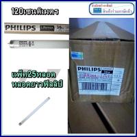 ราคา ยกลัง หลอดนีออน ไฟยาวนีออน Philips นีออน TLD/54 36W (120 cm.) ราคายกกล่อง 25 ดวง แพ็คยกลัง (25118837552)