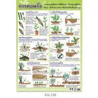 ราคา โปสเตอร์ การตอนกิ่ง #EQ-128 โปสเตอร์กระดาษอาร์ตมัน สื่อการเรียนการสอน สื่อการเรียนรู้ (8012367099)