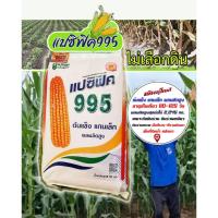 ราคา เมล็ดพันธุ์ ข้าวโพดเลี้ยงสัตว์ แปซิฟิค 995 / 3.5 หุน เมล็ดกลมกลาง/ ขนาด 10 กิโลกรัม ถุงใหม่ (18484201768)