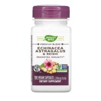 ราคา pre order ของนอกของแท้ของร้าน วิตามิน จากสมุนไพร Echinacea (เอ็กไคนาเซ๊ย) จากอเมริกา ภูมิแพ้ 100เม็ด Nature’s Way (5435689785)