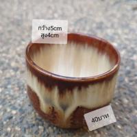 ราคา กระถางเซรามิคสำหรับต้นไม้จิ๋ว (2301440222)