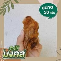 ราคา ว่านลูกไก่ทอง ขนาดจิ๋ว เหมาะวางโต๊ะทำงาน ขนสีทองสร้างโชคลาภแก่ผู้ปลูก หัวว่านลูกไก่ทอง ลูกไก่ทองจิ๋ว (11965881333)