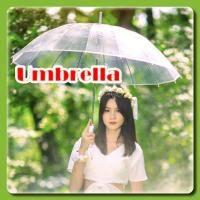 ราคา ☔️ร่มใส ร่มสีใส ร่มสายมินิมอล ด้ามแข็งแรง พร็อพถ่ายรูป ร่มน่ารัก มินิมอล ร่มเเบบใส คุณภาพดี สไตล์เกาหลี สำหรับ 1-2 คน (25479192783)