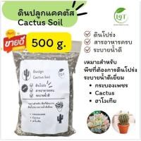 ราคา ดินแคคตัส 500 กรัม ดินปลูกแคคตัส ดินผสมพร้อมปลูก ดินปลูก ไม้ด่าง ไม้ฟอกอากาศ กระบองเพชร ดินปลูกไม้อวบน้ำ cactus (29450361102)