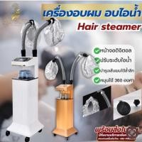 ราคา เครื่องพ่นสปานาโน พ่นไอน้ำ​ สปานาโนมิส 2 หัว อบไอน้ำ สปาผม ใช้งานง่าย เครื่องอบหมวก Salon Hair Styling Tool (25431261544)