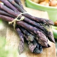 ราคา 5 เมล็ด หน่อไม้ฝรั่ง Asparagus Seeds เมล็ดผัก Non-GMO สายพันธุ์ Pacific Purple (43330139784)