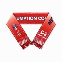 ราคา WARRIX SCARF AC 2025/26 ผ้าพันคอ AC (WS-254ASAAC90) (43776194920)