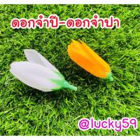 ราคา ดอกจำปี ดอกจำปา ชุดละ10 ดอก (6139632228)