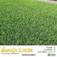 ราคา หญ้าเทียม2cm หญ้าเทียมราคาถูก 50ตร.ม. (29027408330)