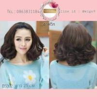 ราคา ฮาฟวิก (วิกผมครึ่งหัว) B5002 (6638056690)