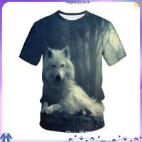 ราคา เสื้อยืดมือสอง เสื้อยืดคัดเกรด เสื้อ The Mountain (52059204963)