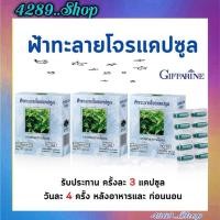 ราคา ฟ้าทะลายโจร กิฟฟารีน ชนิดแคปซูล(ฟ้าทะลายโจร400มิลลิกรัม) (19601123889)