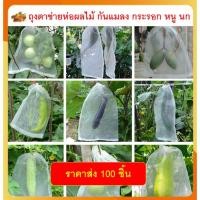 ราคา [ขายส่ง100ชิ้น] [ถูกที่สุดในไทย] ถุงห่อผลไม้ ผักผล ถุงตาข่ายห่อผลไม้ กันแมลง นก หนู กระรอก ทำจากไนล่อน (17069257082)