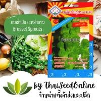 ราคา 3A(สามเอ) 3A เมล็ดพันธุ์ กะหล่ำดาว 100 เมล็ด ตราสามเอ Brussel Sprouts (532643042)