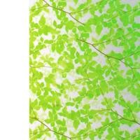 ราคา HIJAU Eva Luvgreen สติกเกอร์แก้วใบไม้สีเขียวสาขา 45x100 ซม.Santlast สติกเกอร์กระจกหน้าต่างกระจกฝ้า (41505727899)