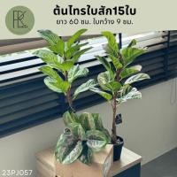 ราคา ต้นไทรใบสัก15ใบ ช่อไม้ประดิษฐ์ ไม้ตกแต่งบ้าน ต้นไทรปลอม ของตกแต่งงาน ของตกเเต่งคาเฟ่ (28262400553)