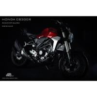 ราคา Leon การ์ดหม้อน้ำ รุ่น Originale สำหรับ HONDA CB300R 2018 SILVER (22752730909)