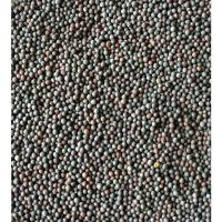 ราคา Black Mustard 100gm เมล็ดมัสตาร์ดดำ 100g Chandrabadni Black Mustard Seeds | Kali Sarson I (23743361234)