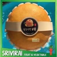 ราคา สาลี่หิมะเกาหลี นำเข้าจากจีน เกรดพรีเมี่ยม หวาน กรอบอร่อย สาลี่หิมะ pear (8793702648)
